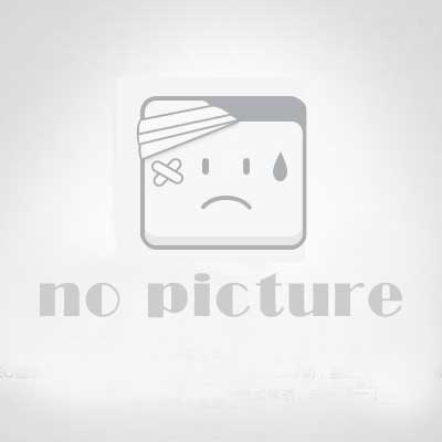WordPress自动采集发布插件-WP-AutoPostPro汉化版下载